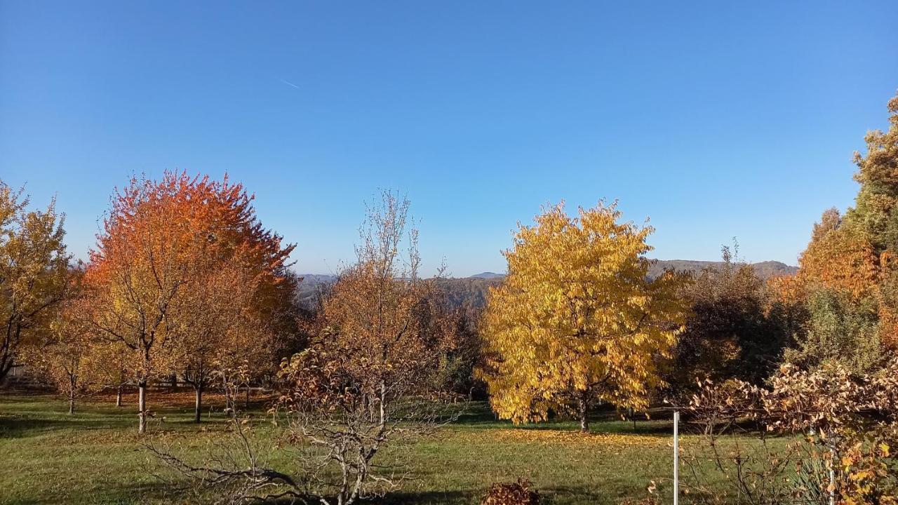 Sumska Carolija * Kosjeric